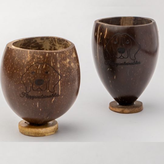 Shot glasses online - Discover the natural beauty of coconut shell shot glasses.